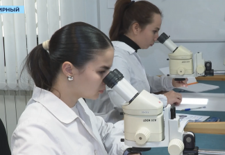 ВИДЕО: первый кейс-чемпионат по наставничеству в АЛРОСА