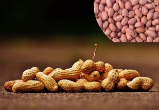 Комплексная минимизация рисков на предприятии по производству арахиса в Пакистане 